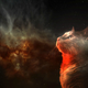 Illustration for article titled My God, Its Full Of Cats! The Very Best Artwork Of Cats In Space